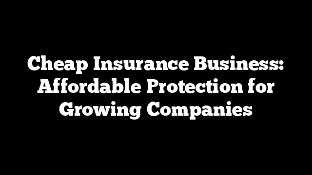 Cheap Insurance Business: Affordable Protection for Growing Companies